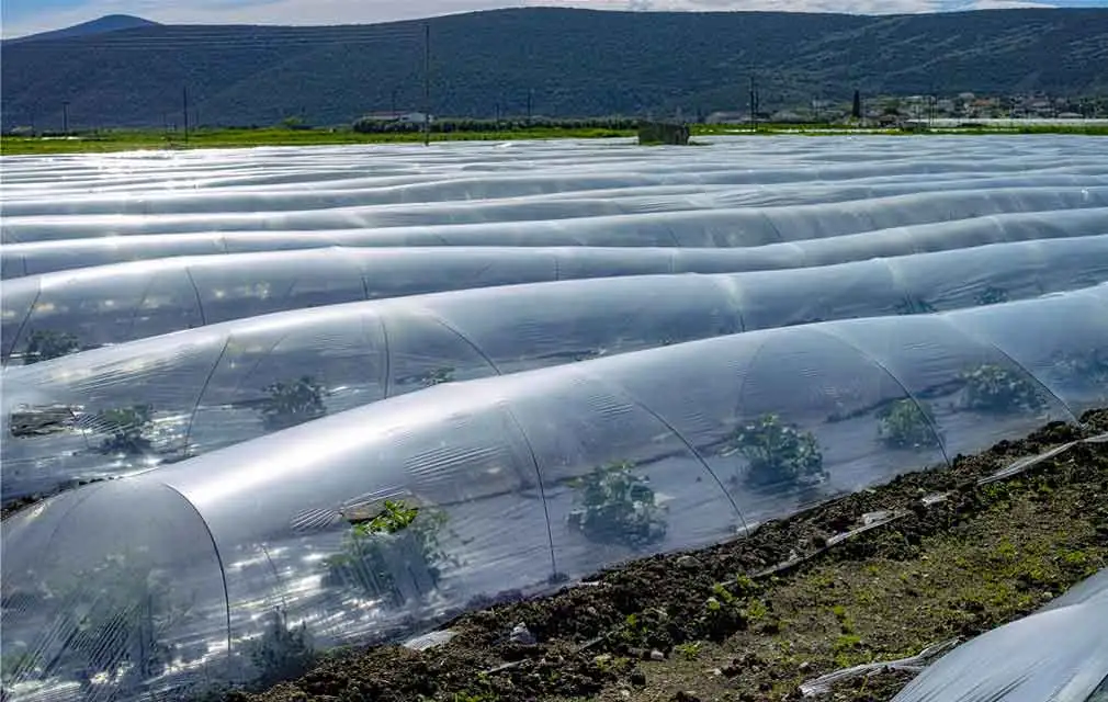 Aplicación de estabilizadores de polímero en agricultura