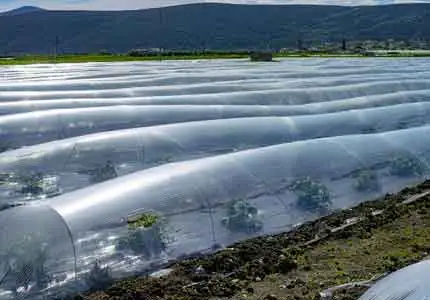 Aplicación de estabilizadores de polímero en agricultura