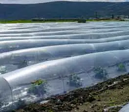 Aplicación de estabilizadores de polímero en agricultura