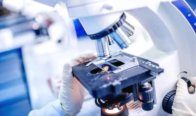 Implementar un sistema integrado de I + D