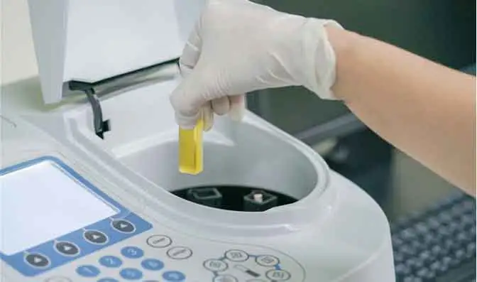 Capacidades de investigación y desarrollo