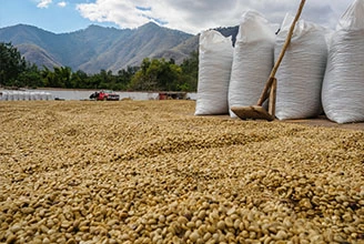 Proceso de fabricación de antioxidantes de polímero