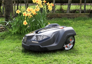 Antioxidante de Fosfito