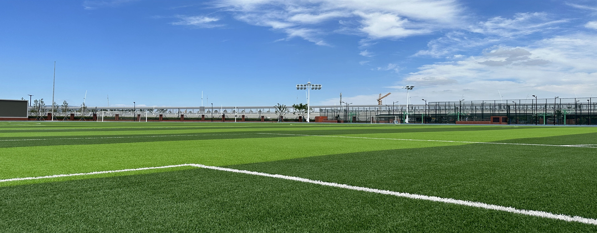 Estabilizador de luz de amina obstaculizada